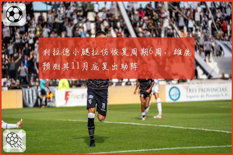 利拉德小腿拉伤恢复周期6周,雄鹿预测其11月底复出助阵