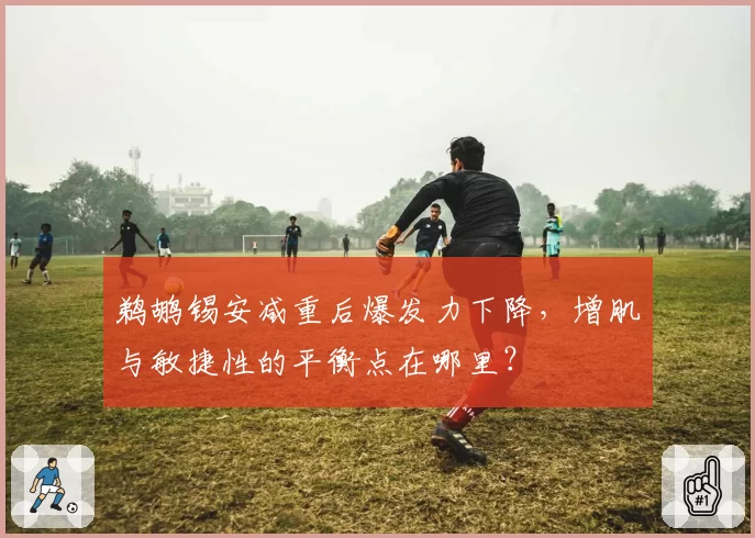 鹈鹕锡安减重后爆发力下降,增肌与敏捷性的平衡点在哪里?