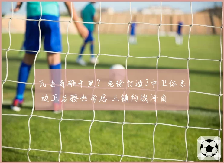 瓦吉奇砸手里?老徐打造3中卫体系 边卫后腰也考虑 三镇约战河南