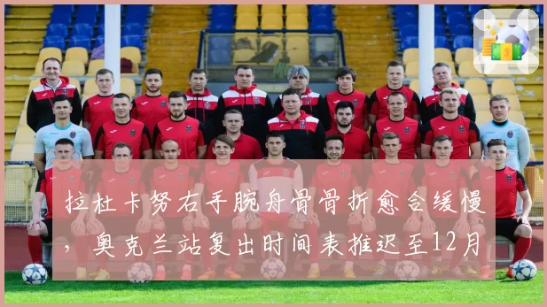 拉杜卡努右手腕舟骨骨折愈合缓慢，奥克兰站复出时间表推迟至12月