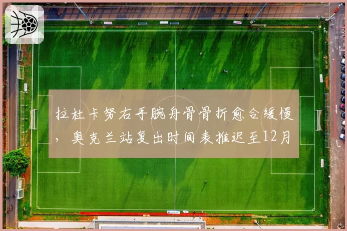 拉杜卡努右手腕舟骨骨折愈合缓慢，奥克兰站复出时间表推迟至12月